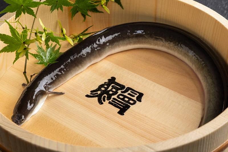 愛知三河の養鰻場から厳選仕入れ