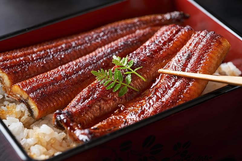 さまざまなシーンで利用可能